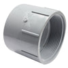 Canplas PVC DWV Female Adapter (FPT) x Hub